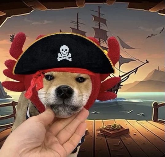 pfp