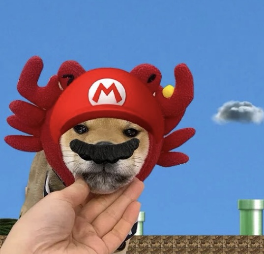 pfp