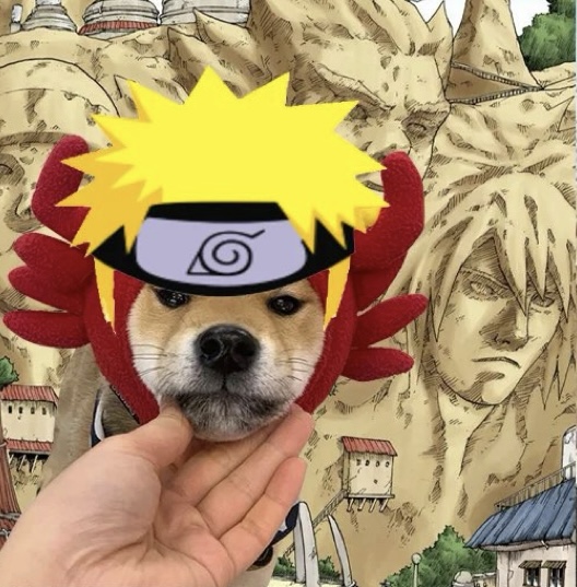 pfp