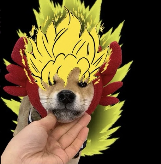 pfp